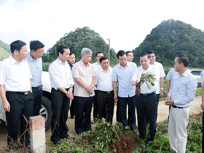Bộ trưởng bBộ KH và CN ghé thăm vùng trồng dược liệu Anvy