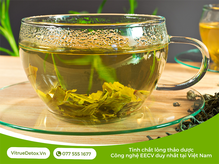 Uống trà xanh hỗ trợ làm giảm tình trạng sưng viêm cho người bị gout